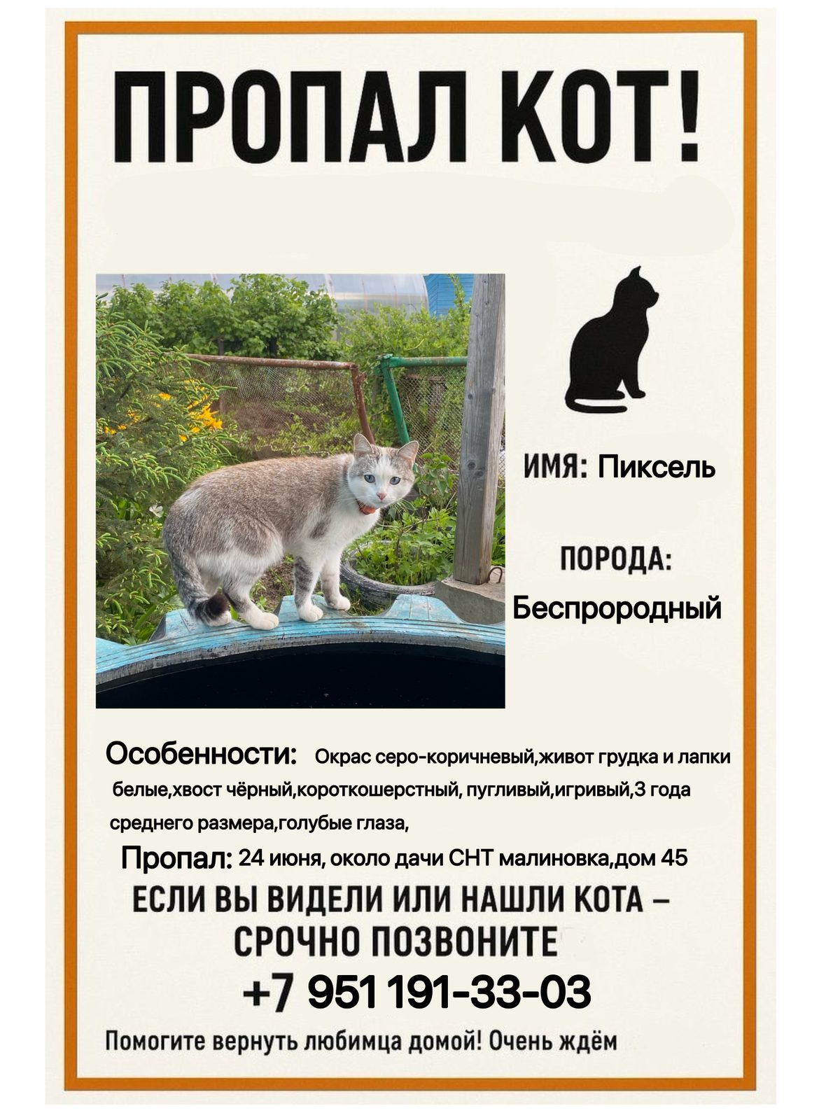 Пропавшая кошка в Ижевске: ‼️ПРОПАЛ КОТ ‼️ Пропала кошка в Ижевске — ‼️ПРОПАЛ КОТ ‼️