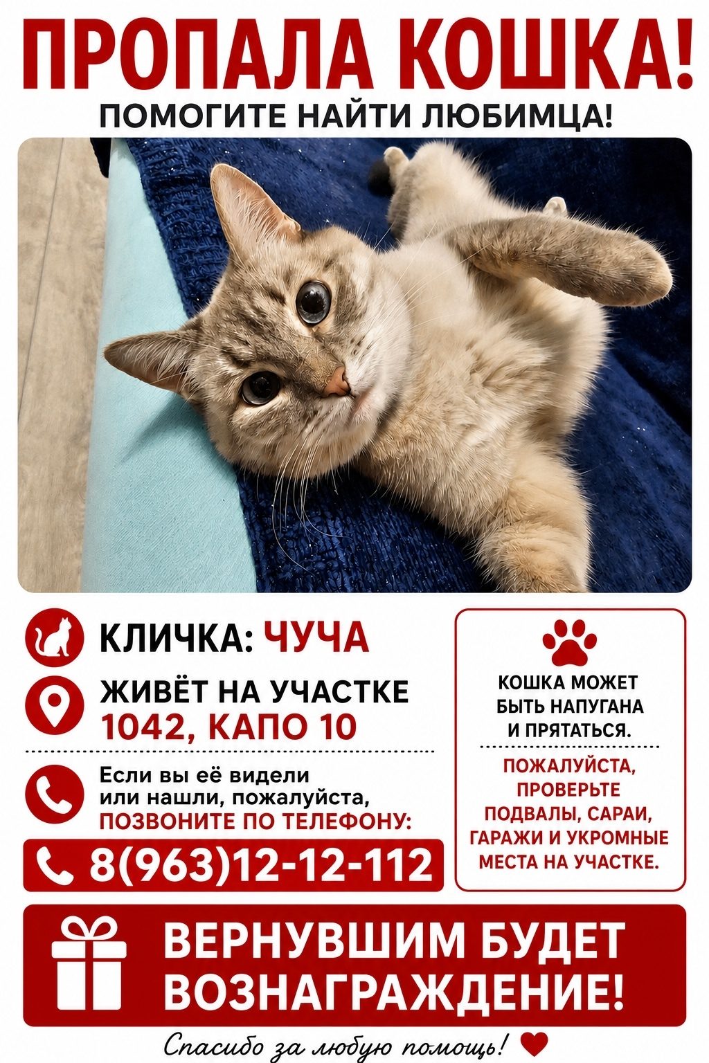 Пропавшая кошка в Казани Пропала кошка в Казани — фото объявления