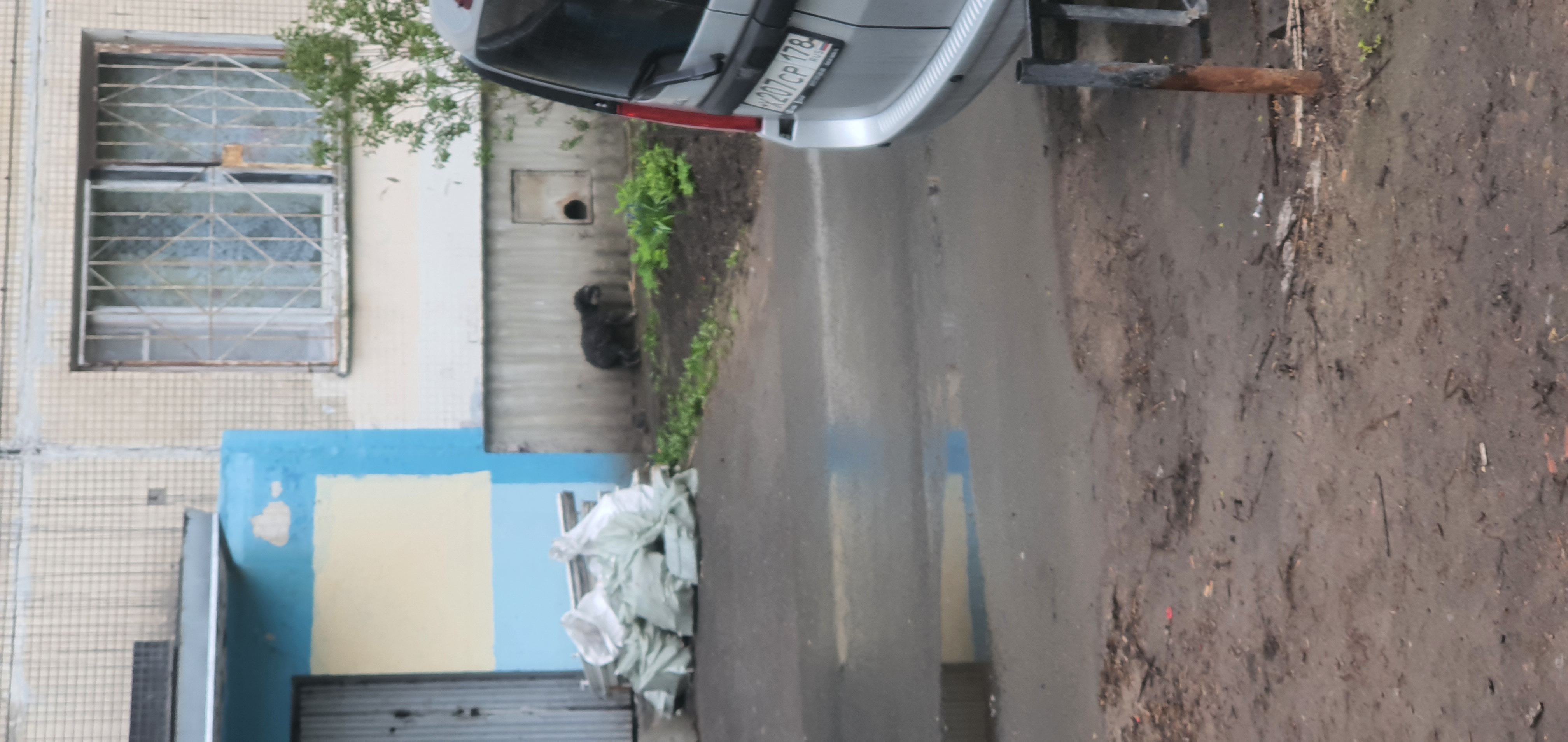 Найденная собака в Колпине Найдена собака в Колпине — фото объявления