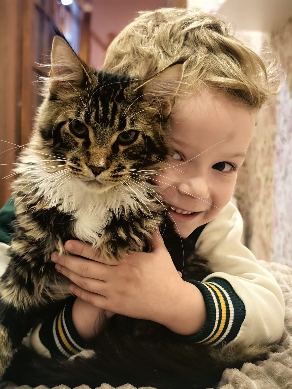 Пропавшая кошка в Саранске: Помогите найти любимого питомца 🙏 Пропала кошка в Саранске — Помогите найти любимого питомца 🙏