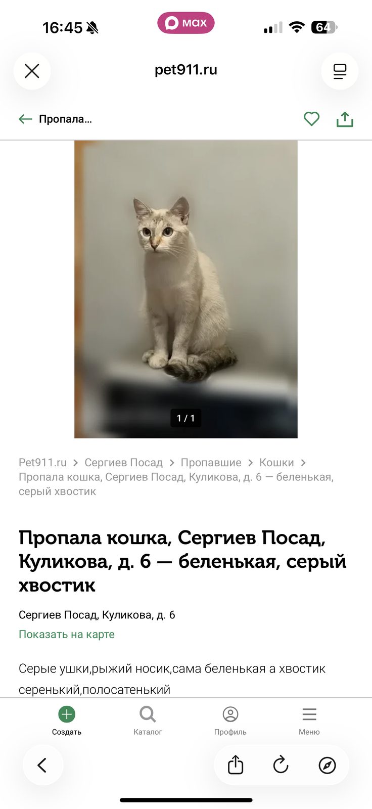 Пропавшая кошка в Сергиевом Посаде Пропала кошка в Сергиевом Посаде — фото объявления