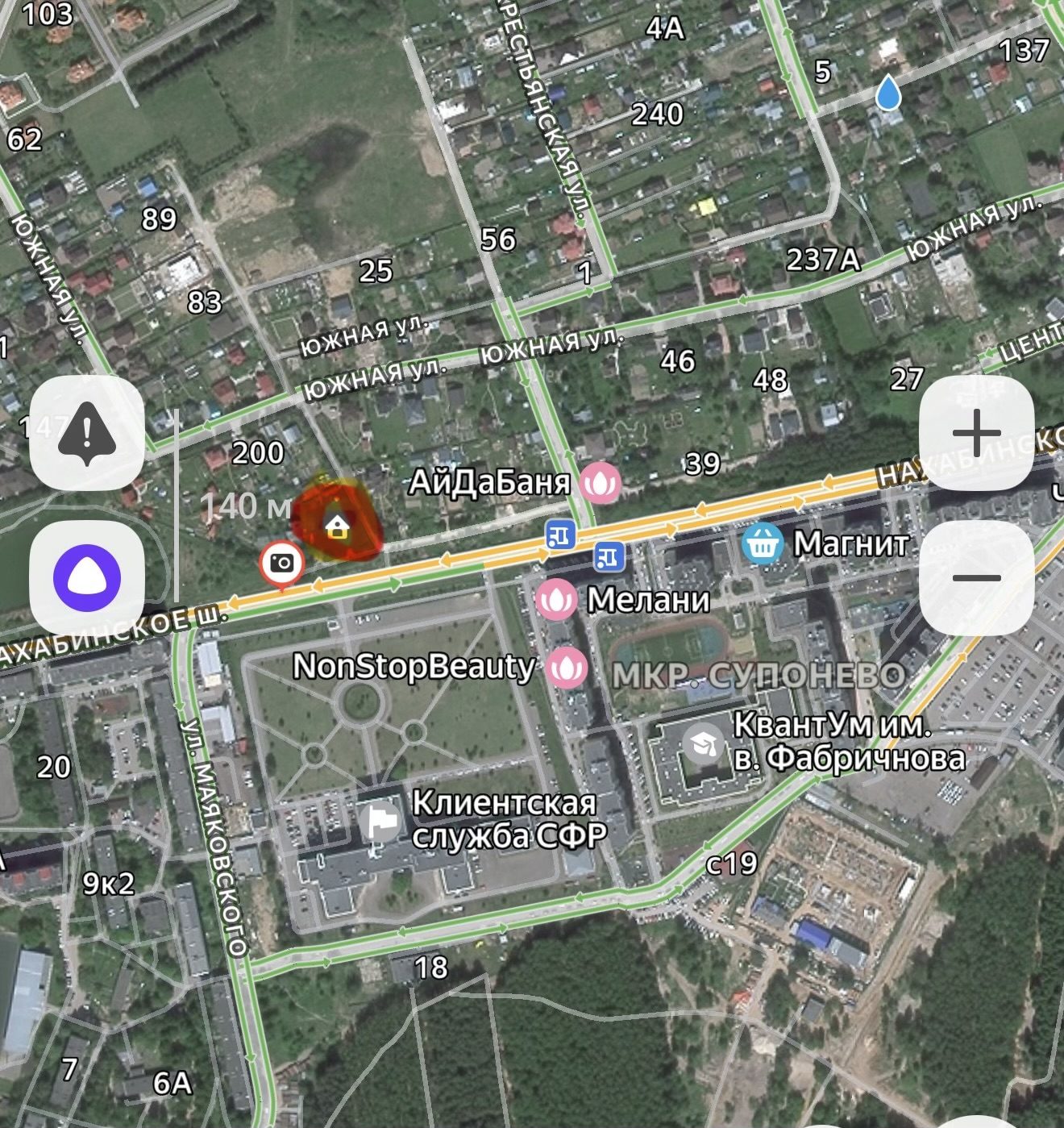 Пропавшая собака в Звенигороде Пропала собака в Звенигороде — фото объявления