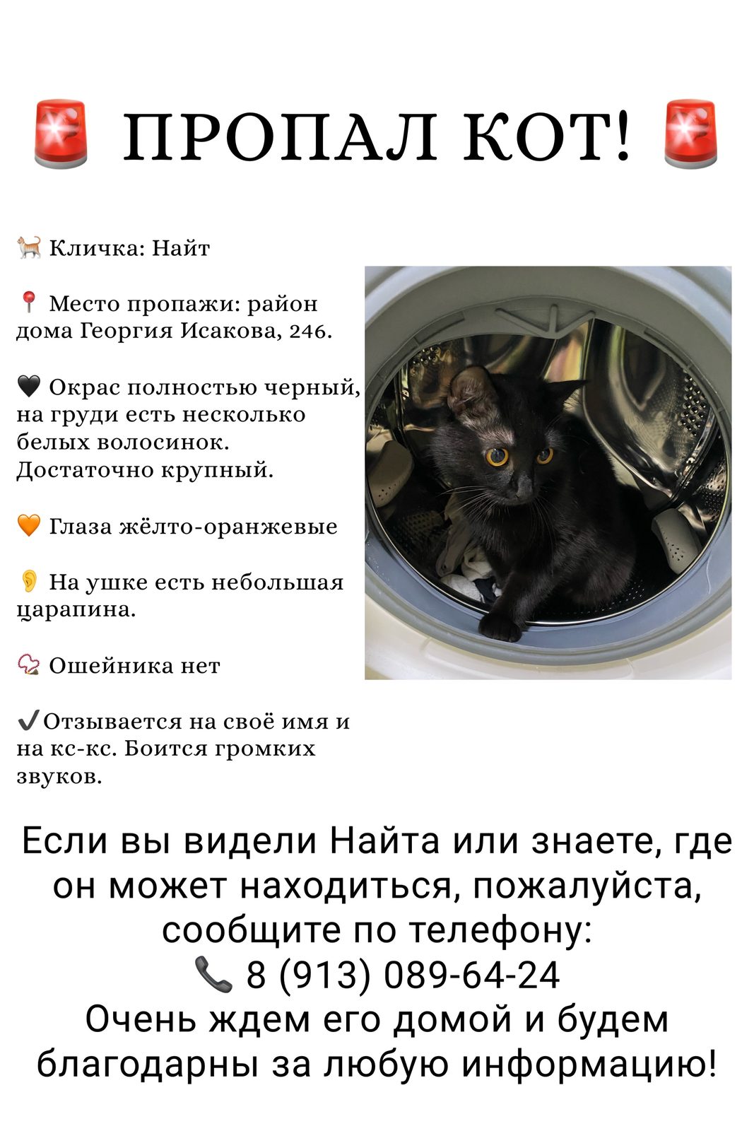 Пропавшая кошка в Барнауле Пропала кошка в Барнауле — фото объявления