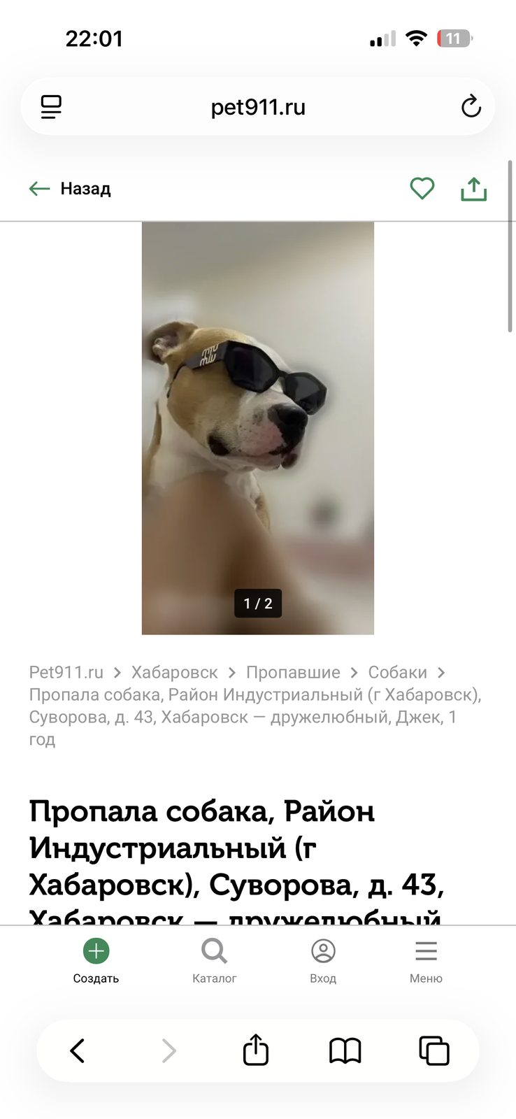 Пропавшая собака в Хабаровске Пропала собака в Хабаровске — фото объявления