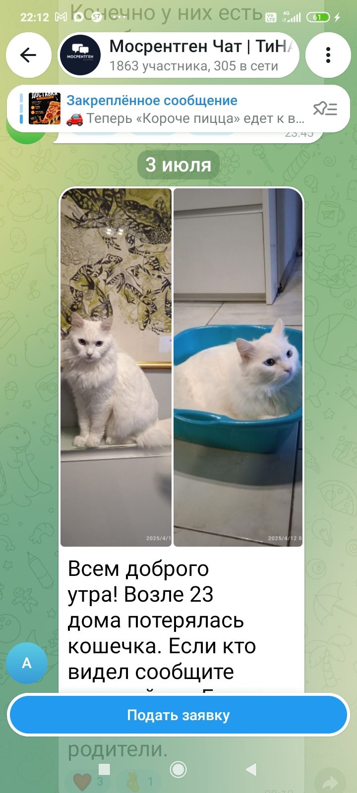 Пропавшая кошка в Москве: Помогите найти, пожалуйста Пропала кошка в Москве — Помогите найти, пожалуйста