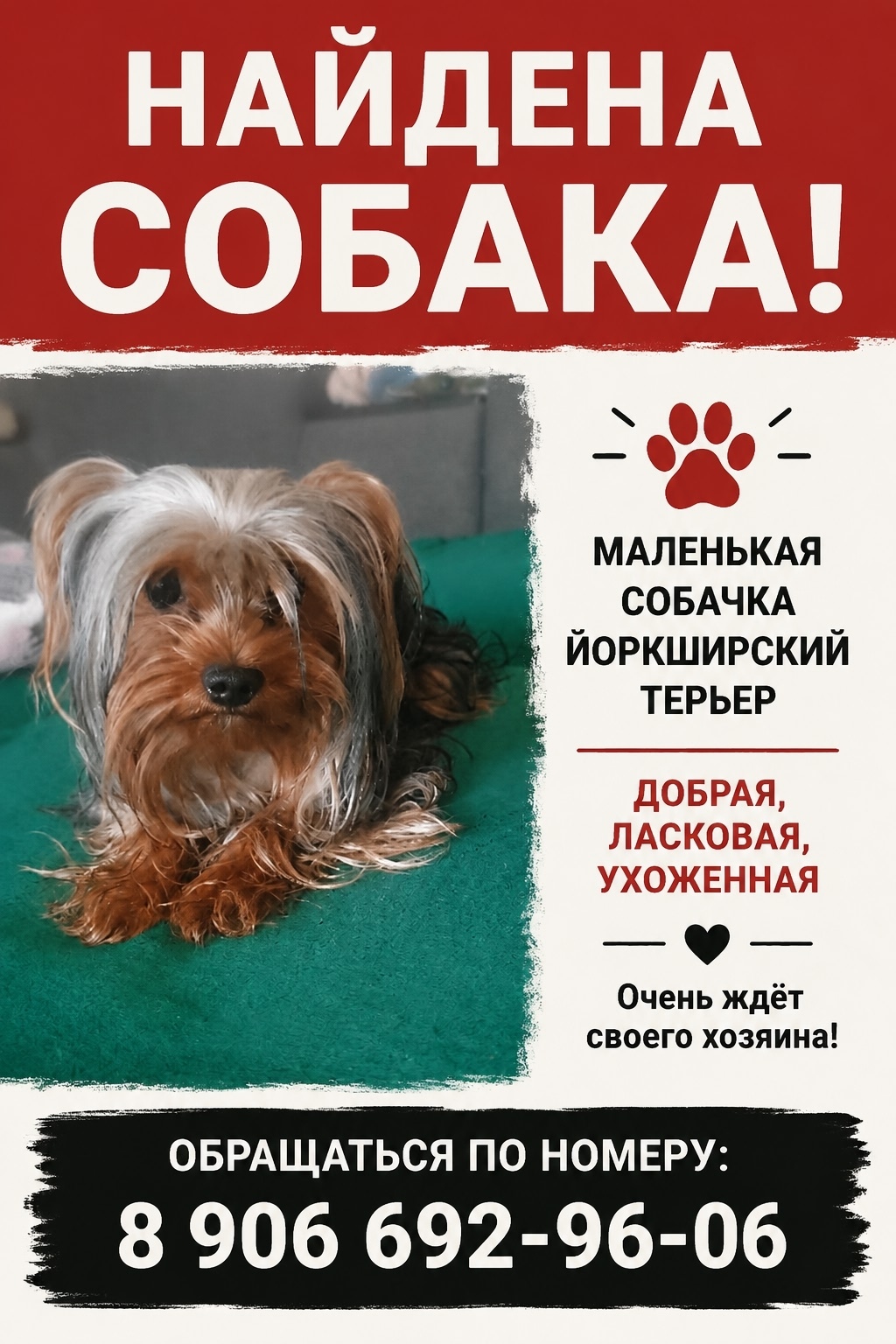 Найденная собака в Курске Найдена собака в Курске — фото объявления