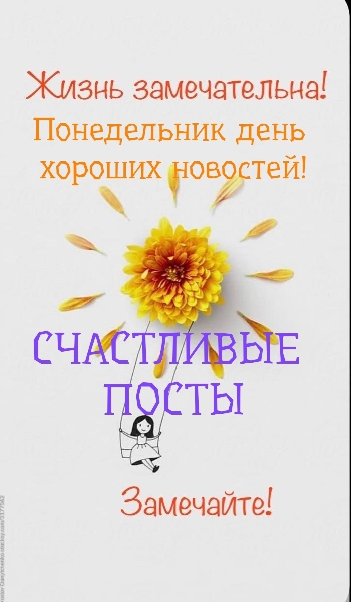 Объявление о питомце в Симферополе Объявление о питомце в Симферополе — фото объявления