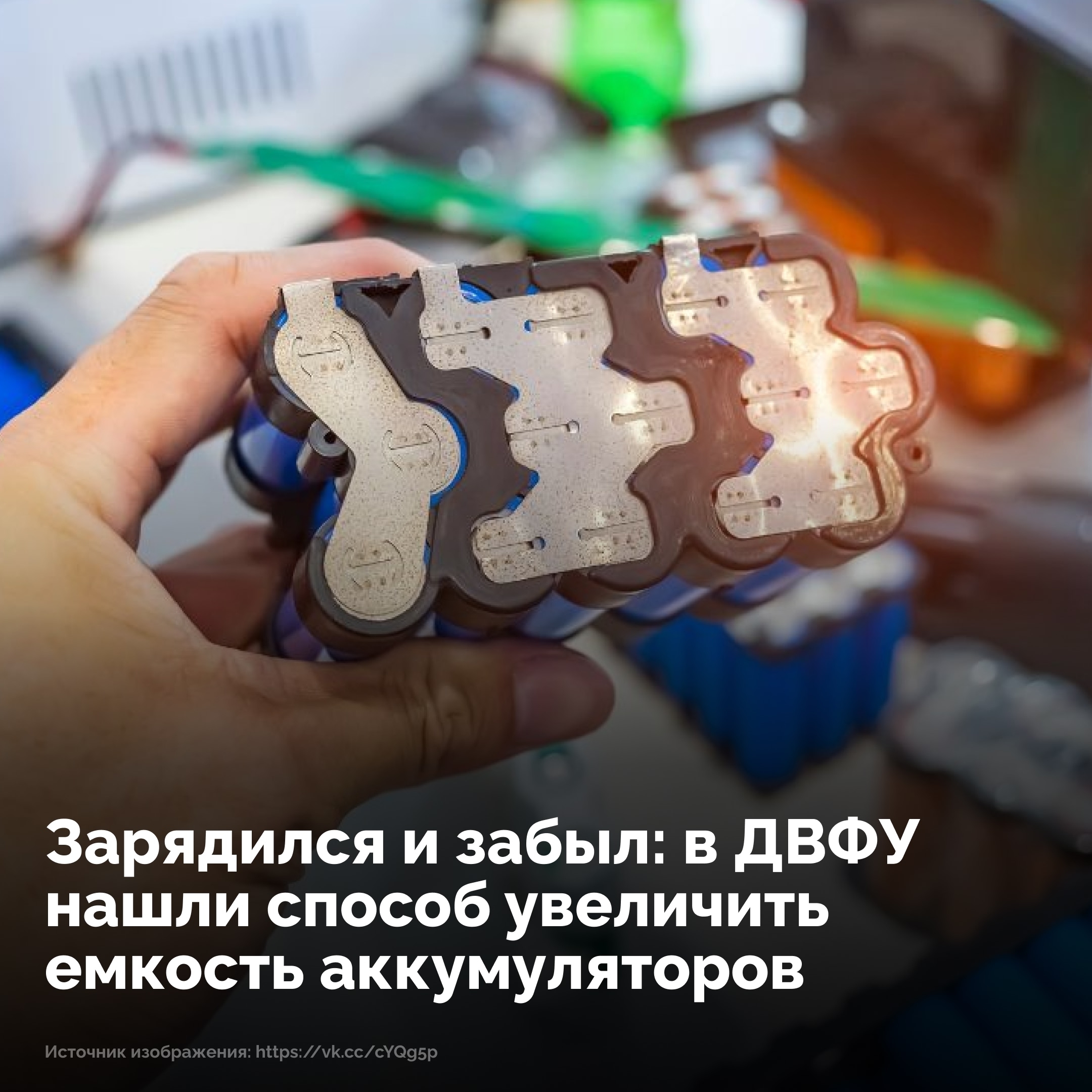 Объявление о питомце в Домодедове Объявление о питомце в Домодедове — фото объявления
