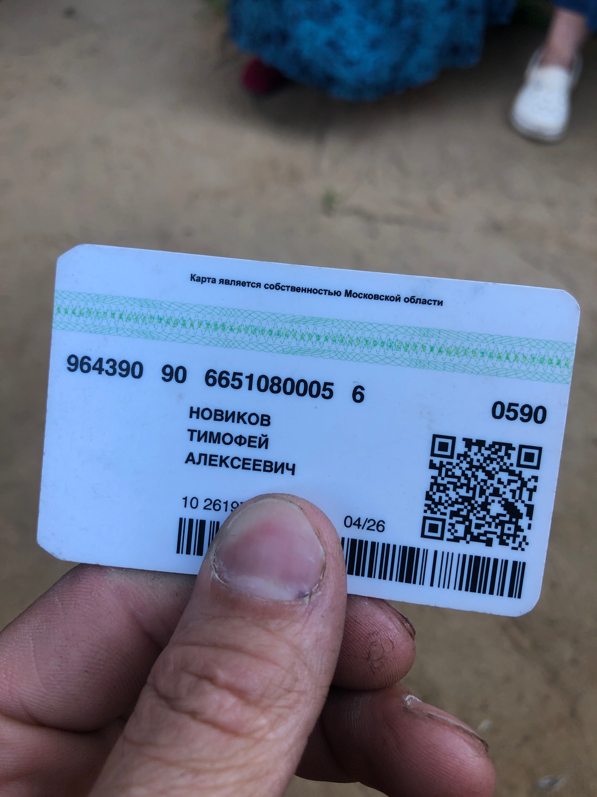 Объявление о питомце в Егорьевске Объявление о питомце в Егорьевске — фото объявления