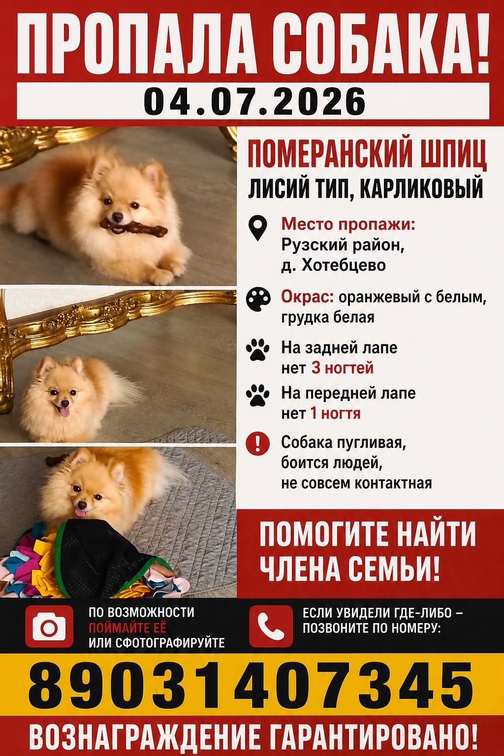 Найденная собака в Рузе Найдена собака в Рузе — фото объявления