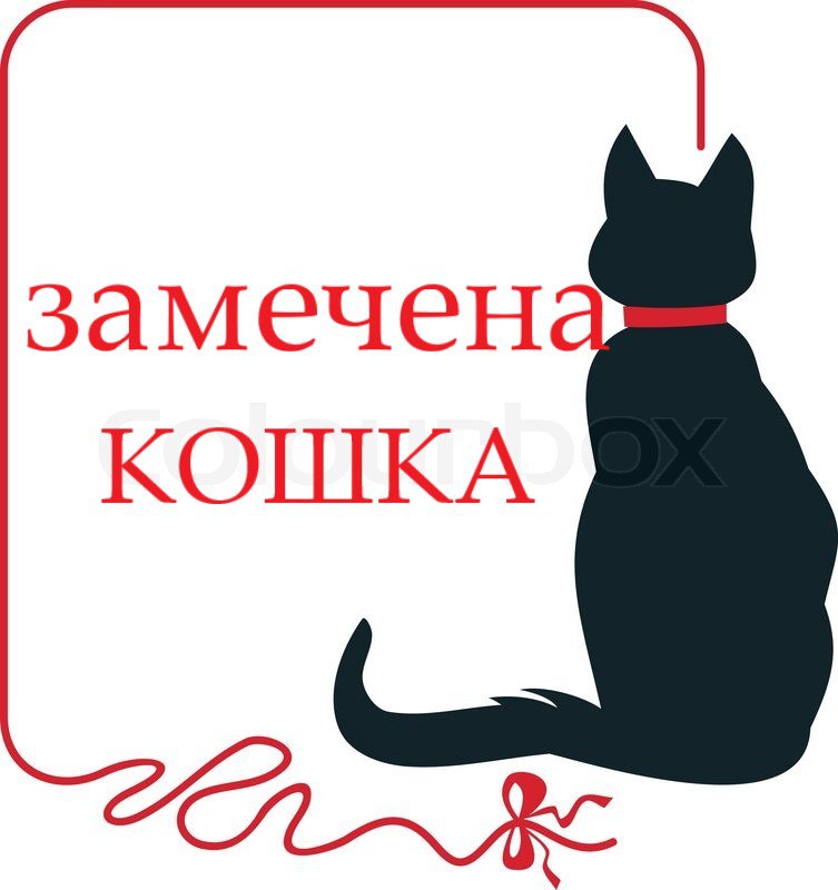 Найденная кошка в Калуге Найдена кошка в Калуге — фото объявления