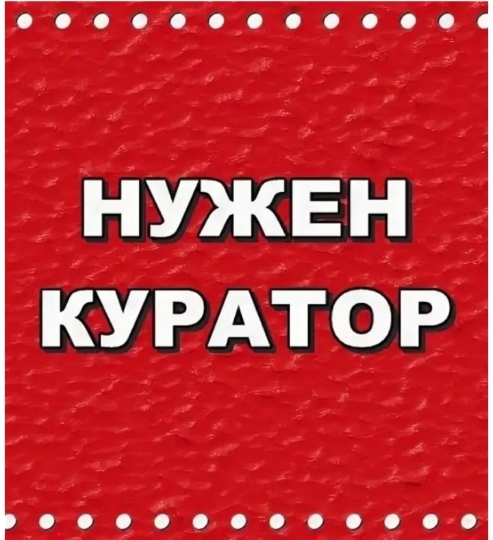 Найденная кошка в Мурманске Найдена кошка в Мурманске — фото объявления