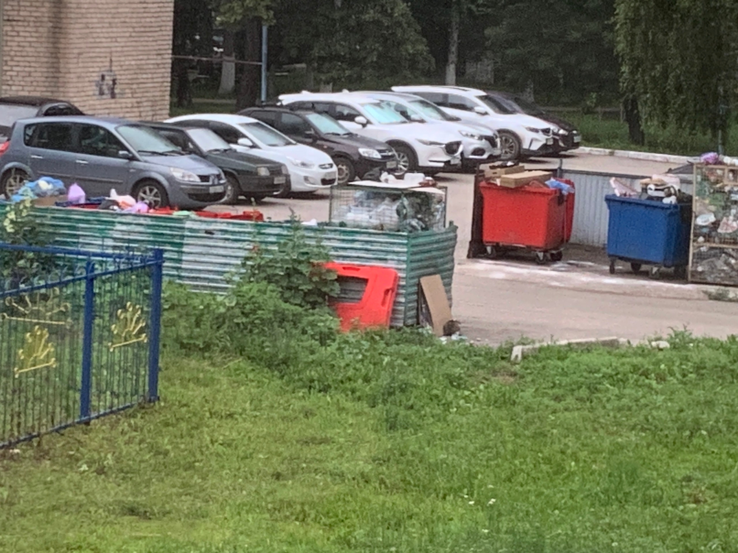 Найденная кошка в Стерлитамаке Найдена кошка в Стерлитамаке — фото объявления