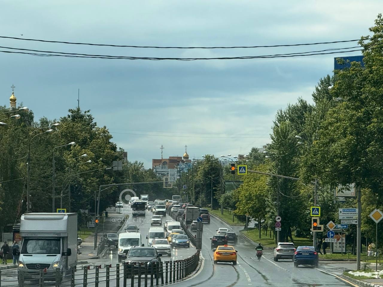 Найденная собака в Одинцове Найдена собака в Одинцове — фото объявления