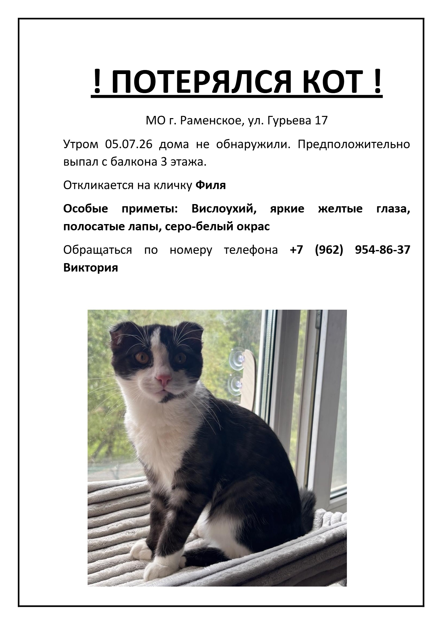 Найденная кошка в Раменском Найдена кошка в Раменском — фото объявления