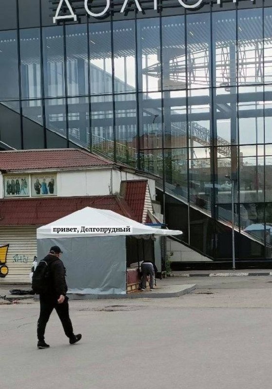 Объявление о питомце в Долгопрудном Объявление о питомце в Долгопрудном — фото объявления