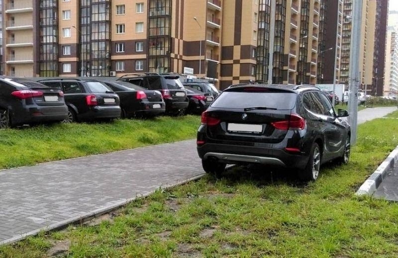 Объявление о питомце в Долгопрудном Объявление о питомце в Долгопрудном — фото объявления