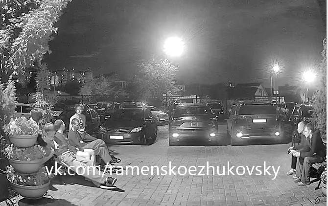 Объявление о питомце в Жуковском Объявление о питомце в Жуковском — фото объявления