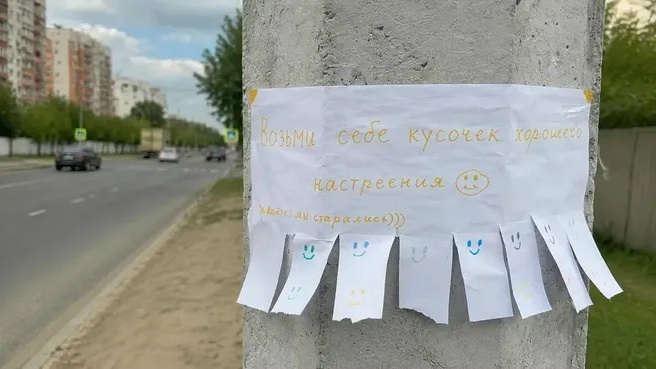 Найденная собака в Ногинске Найдена собака в Ногинске — фото объявления