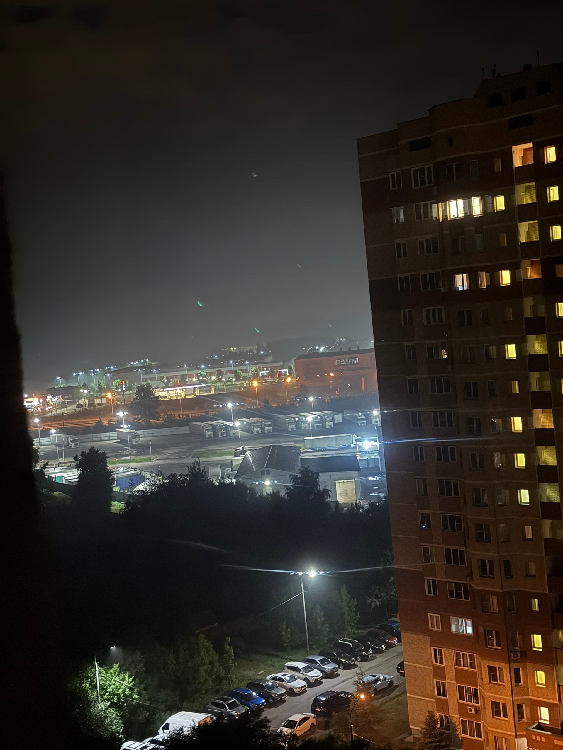 Объявление о питомце в Ногинске Объявление о питомце в Ногинске — фото объявления