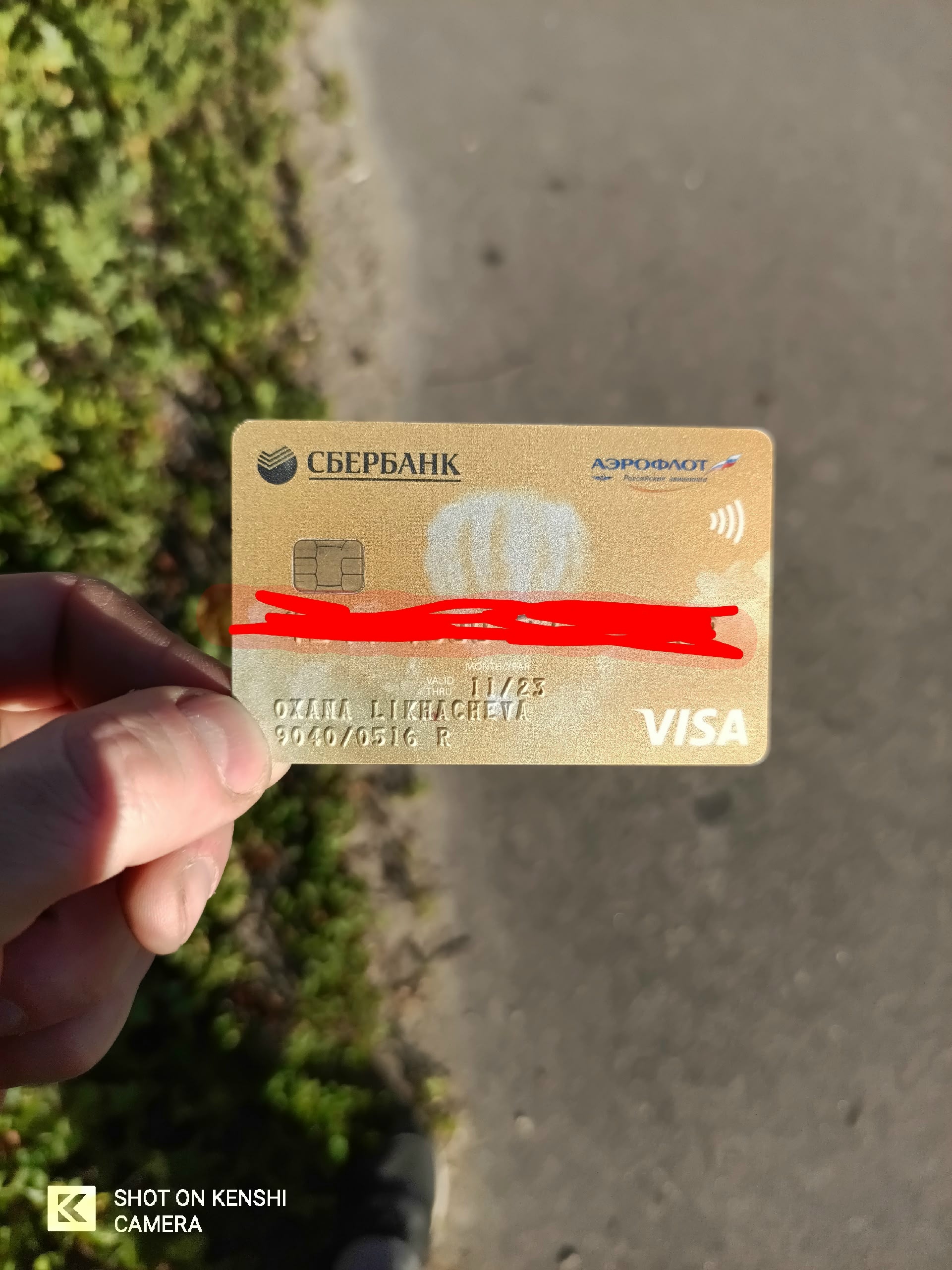Объявление о питомце в Егорьевске Объявление о питомце в Егорьевске — фото объявления