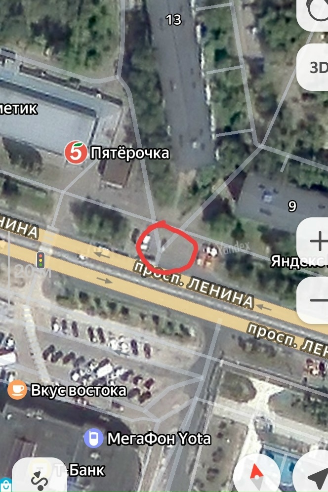 Объявление о питомце в Егорьевске Объявление о питомце в Егорьевске — фото объявления