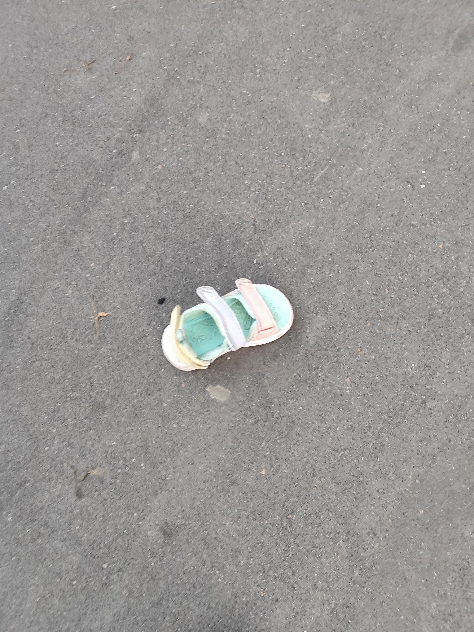 Объявление о питомце в Егорьевске Объявление о питомце в Егорьевске — фото объявления